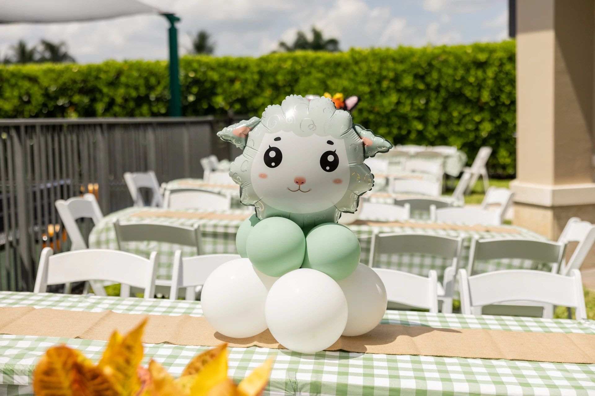 Birthday - WC-68266